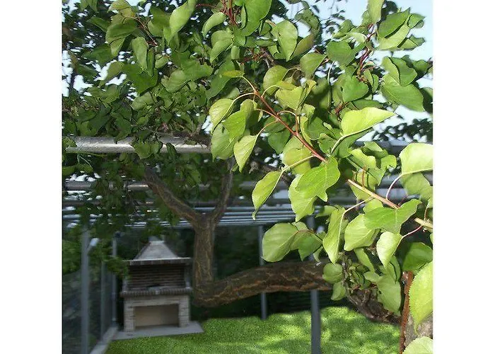 House Diakos Apartamento Torone