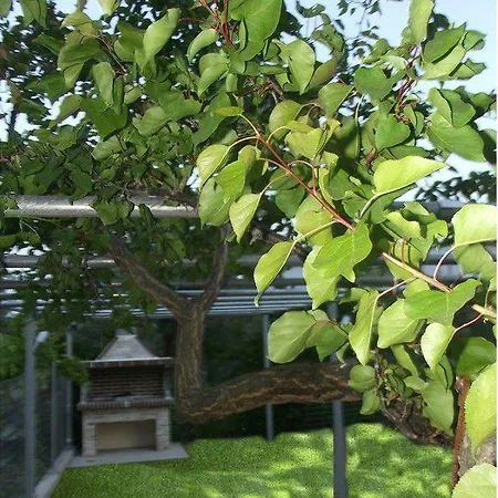 House Diakos Apartman Toróni